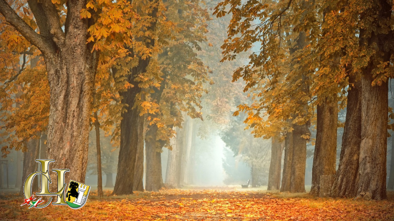 Appuntamenti dell’autunno a Sciaffusa
